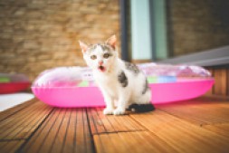 阿里巴巴代运营问题:开了两年店,之前没有打理过,这两天才开始打理起来,先从哪一方面开始呢